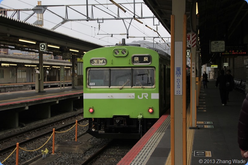 _MG_7243 _MG_7243