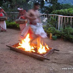 l036.jpg