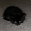 DSCN7698.jpg DSCN7698.jpg