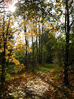IMG_4045.JPG Photo
