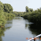 DSCN4600-MOTION.gif