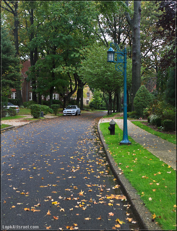 Америка 2.0 / Нью Йорк   Forest Hills (foto america  фото природа дождь и снег new york  20111019 usa ny forest hills 031 9105)