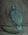 177.2 - Oiseau Nacré (Zoom détail) - 2007<br />
46 x 38 - Acrylique, Sable et encre de Chine sur toile