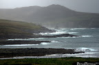 picassa_4_00008.jpg