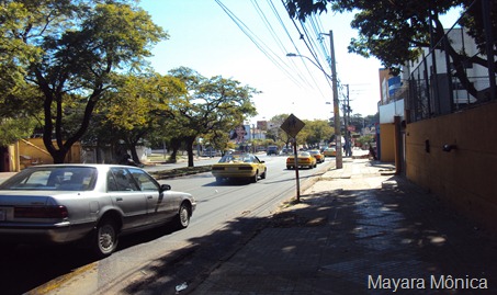 DSC04265 assunção 6