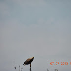 DSCN9666.JPG