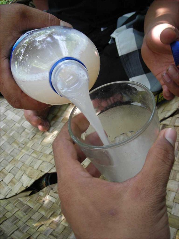 [Microbial%2520of%2520fermented%2520food%2520-%2520tuak%255B1%255D.jpg]