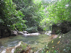Random scene off a short jungle walk we did up to the waterfall.