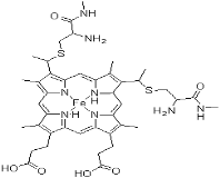 Cytochrome Cytochrome