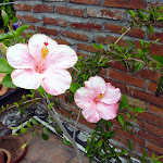 DSC05207.jpg