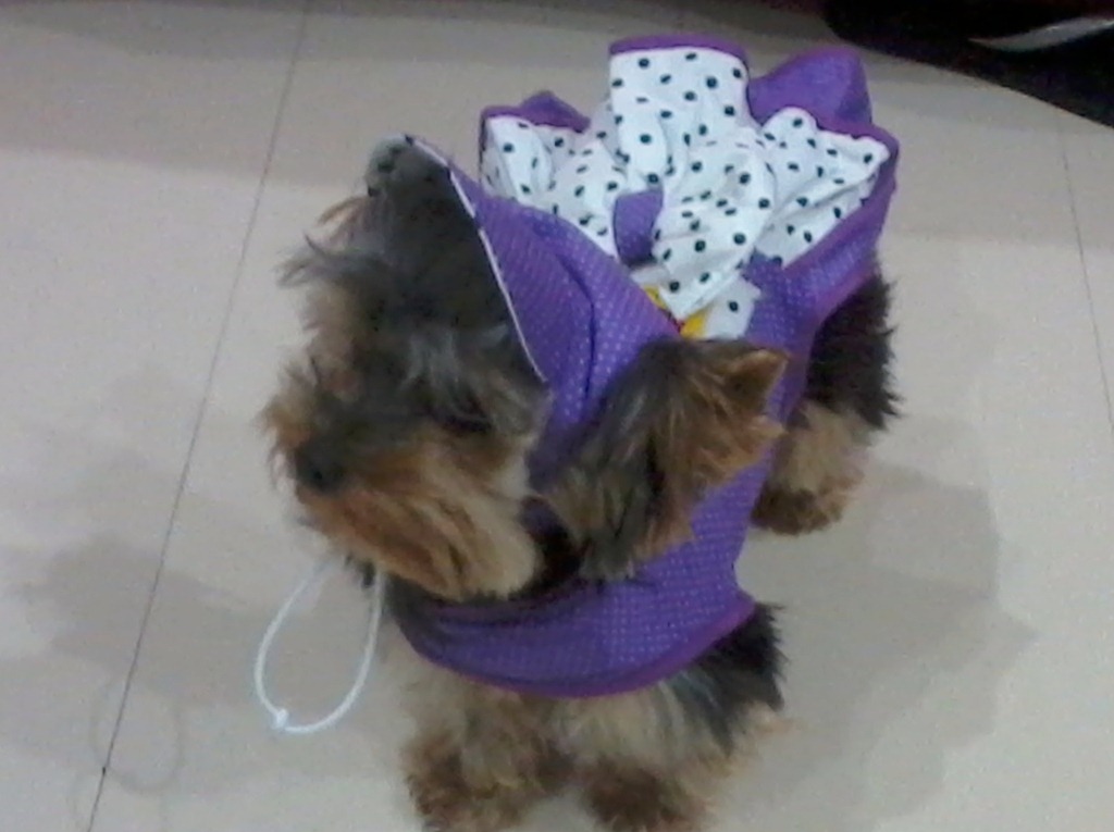 [2012-05-09%252021.46.28%255B4%255D.jpg]