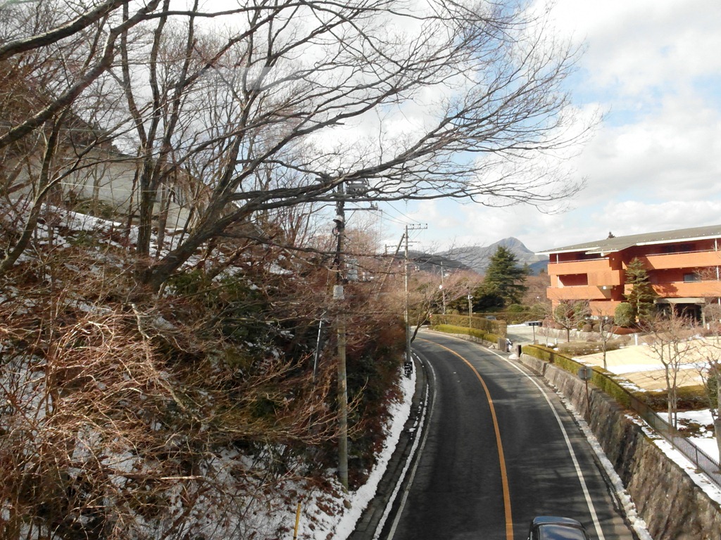 [SAM_05105.jpg]