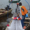 FestaVarzeadoBuriti2011-036.JPG