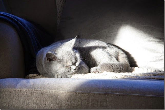zzz zzz