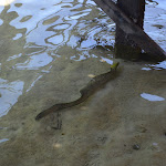 DSC_1528.JPG