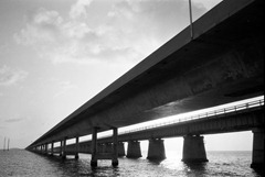 Film-34-14