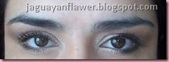 MF - Ojos (17) MF - Ojos (17)