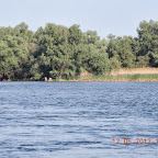 DSCN0262.JPG