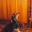 DSCN2497.JPG