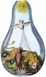 Engraving From Franz Clinge Ein Richtiger Wegweiser 1701