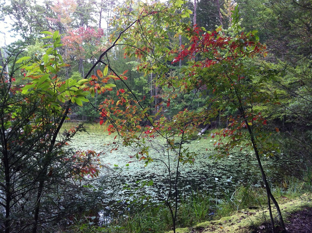 [IMG_3437.JPG%2520%25282%2529%255B5%255D.jpg]