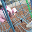 DSC03216.JPG