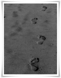 partida partida
