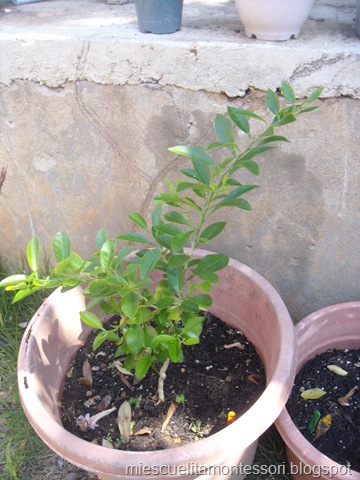 [DSC06474%255B3%255D.jpg]