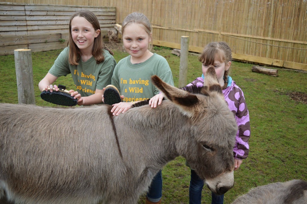 [DSC_1693%255B5%255D.jpg]