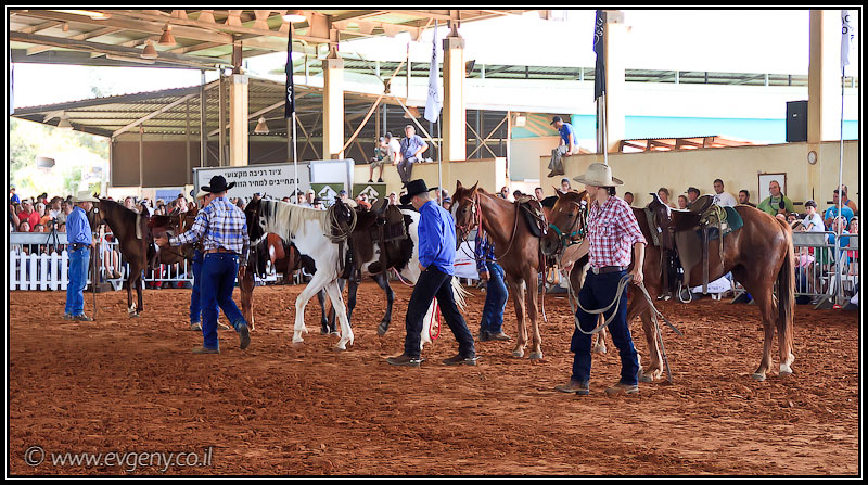 il/Фото: Stallion Show 2011 (20110416 stllion show 080 2351)
