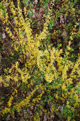 [DSC_0338%255B2%255D.jpg]