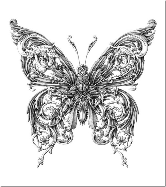mariposa mariposa
