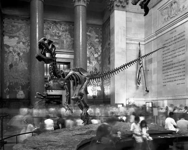 Museum Of Natural History Photography Museum Of Natural History Photography