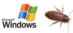 Break windoze