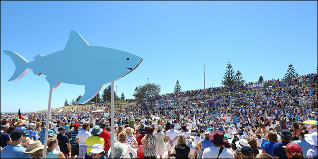 Thousands of people protest against the Western Australia's state government's shark killing policy on Manly beach in Sydney, Australia, 1 February 2014. Photo: AP