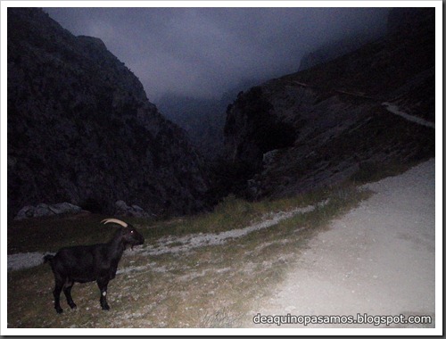 Poncebos-Canal de Trea-Jultayu 1940m-Lagos de Covadonga (Picos de Europa) 5083 Poncebos-Canal de Trea-Jultayu 1940m-Lagos de Covadonga (Picos de Europa) 5083