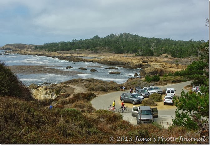 View from Bird Island Trail, Point Lobos, California View from Bird Island Trail, Point Lobos, California
