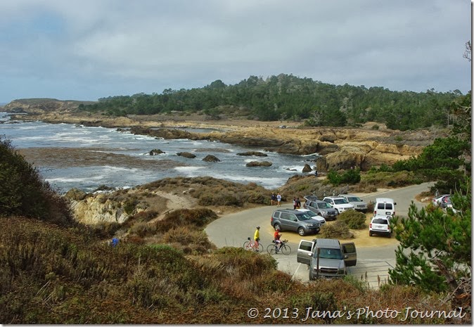 View from Bird Island Trail, Point Lobos, California