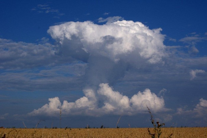 صور رائعة لغيوم تأخذ اشكالا مألوفة :   Mushroom%25255B3%25255D