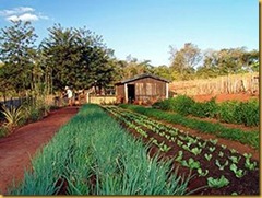 280px-Horta_150706_REFON__thumb[1]