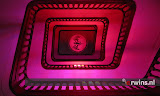 Bacardi Visita #7