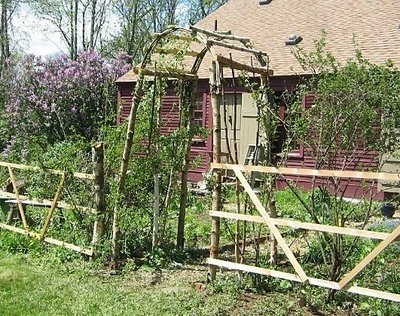 [walker%2520garden%25201%2520grand%2520opening%255B5%255D.jpg]