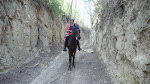 Radfahren, Reiten Tallesbrunn, Nexing