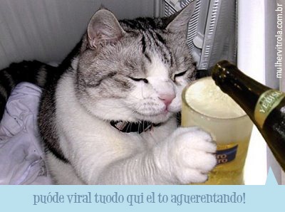 [beubo%2520-%2520C%25C3%25B3pia%2520-%2520C%25C3%25B3pia%255B5%255D.jpg]