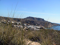 IMG_5166.JPG Photo