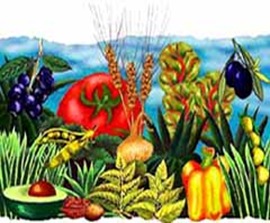 Frutta e legumi composizione a tempera (disegno colori)(piccolo)