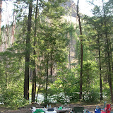 More of Camp