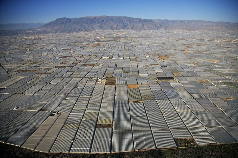 الدفيئات الزراعية في الميريا Greenhouses-almeria%25255B1%25255D