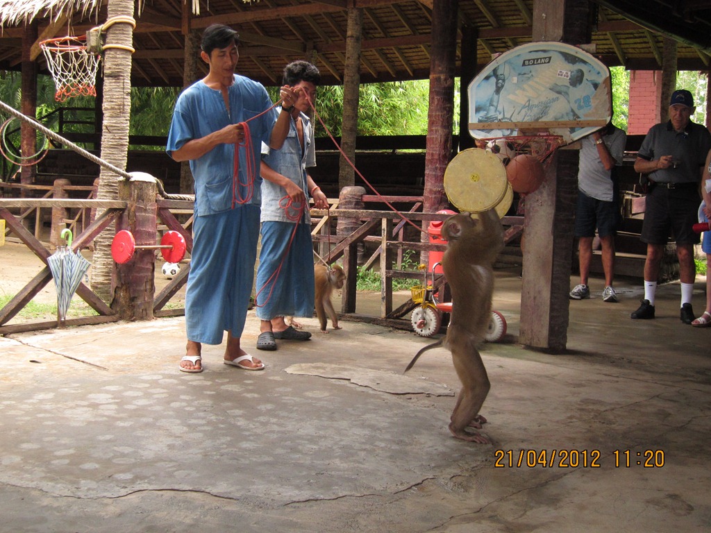 [IMG_92995.jpg]