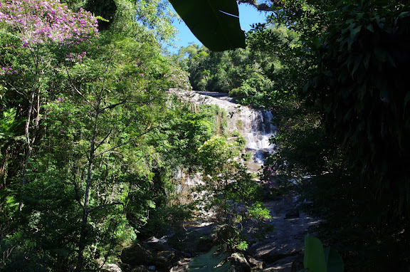 Cachoeira do Escada (Ubatuba, SP). 6 février 2012. Photo : J.-M. Gayman
